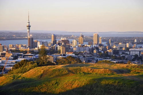 1,000,000纽币,在2019年的新西兰能买到什么样的大house