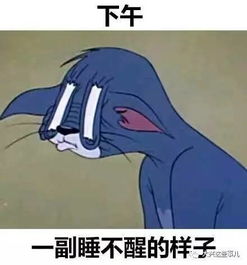 这是猫和老鼠演绎的 你的一天 