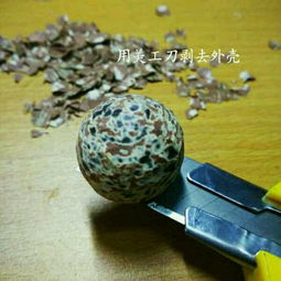 玲珑骰子安红豆 九阴真经玲珑骰手工制作