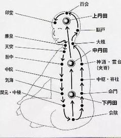 经和脉有什么区别-图1