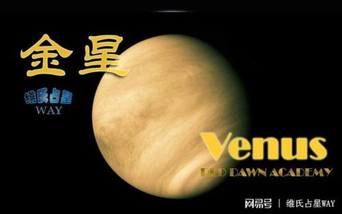 星座运势谈 十月第二跳,金星庙旺天秤座期间的12星座