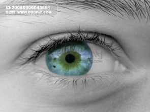 眼部特写 蓝色眼睛 绿色眼睛 棕色...图片设计素材 高清JPG模板下载 1.35MB vipvip分享 背景素材大全 