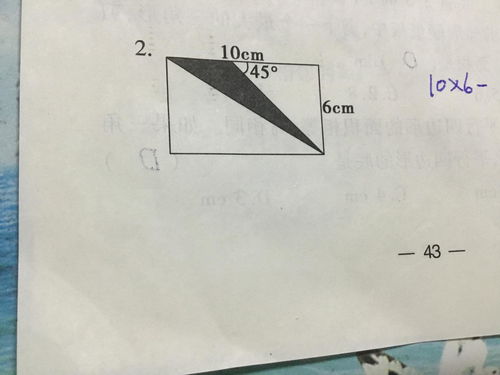 十个厘米是什么意思