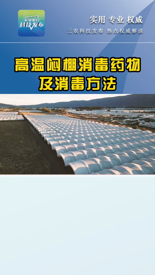 高温闷棚消毒药物都有哪些 如何使用 往这儿看 高温闷棚 农业种植技术 