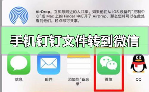 怎样将手机上钉钉文件转发至微信？