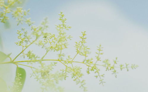 4月春雨后,桃花傍身,爱人不期自来,深情相爱的星座 女生 