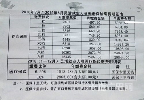 灵活就业养老保险缴费单子照片灵活就业养老保险打的单子叫什么