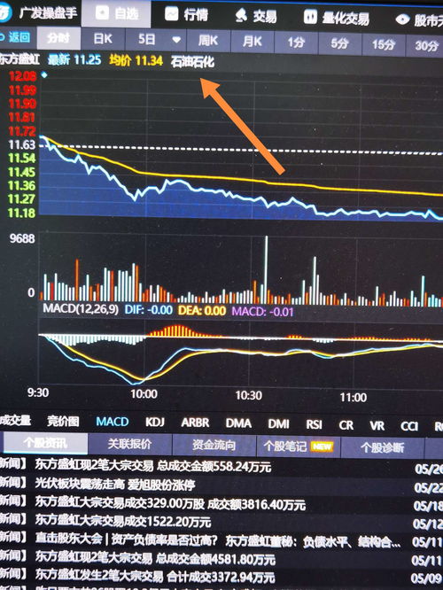 问一下东方盛虹到底是属于哪个板块 今天石油石化涨的挺好啊