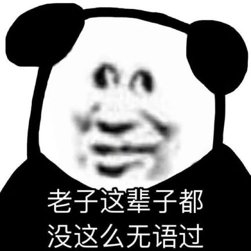 熊猫一脸惊讶表情包图片