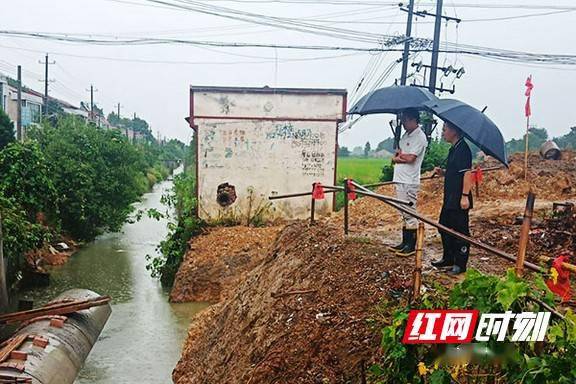 赫山区八字哨镇 全力以赴 科学设防 确保安全度汛