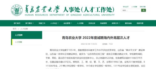 青岛农业大学知网自己查重