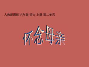 怀念母亲 课件 新人教版六上 