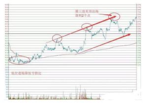 什么样的股票做T+0最合适哪个最快？