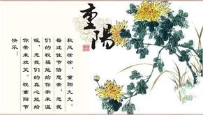 重阳节是农历几月几日(重阳节是几月几日的)