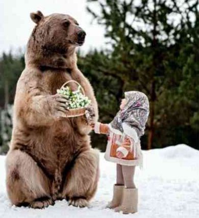 几乎每个俄罗斯人都喜欢养熊,为什么没听说被熊咬死呢