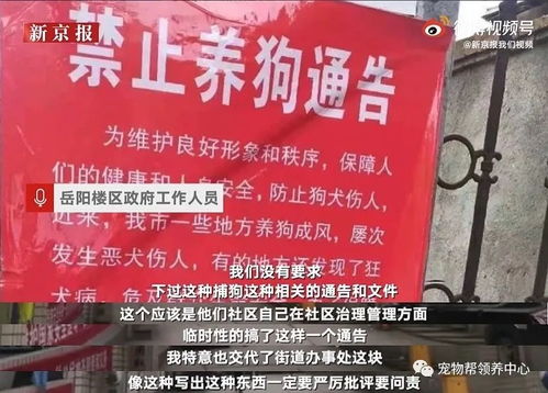 小区禁止养狗,还要求主人十日内自行将狗捕杀 好大的官威呀