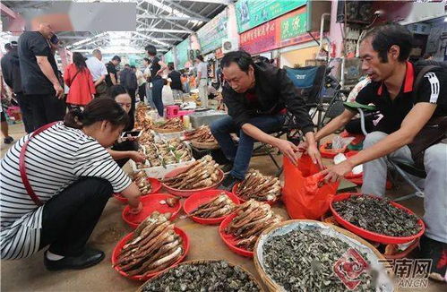 请问云南一口盅在市场是什么价格