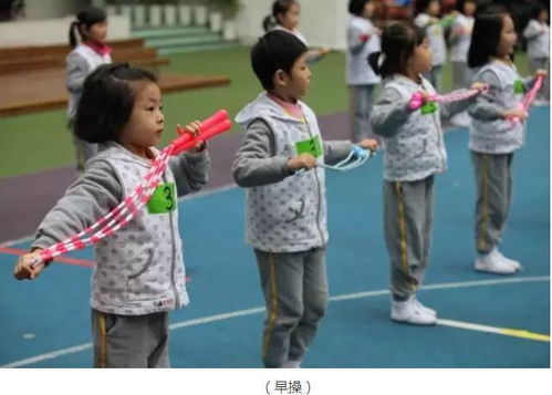 幼儿园一日活动指引,生活 体育 游戏 学习一个都不能少 