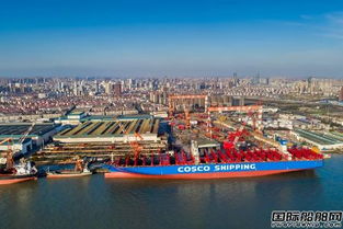 最后一艘两万箱超大型集装箱船命名 这家中外合资船厂厉害
