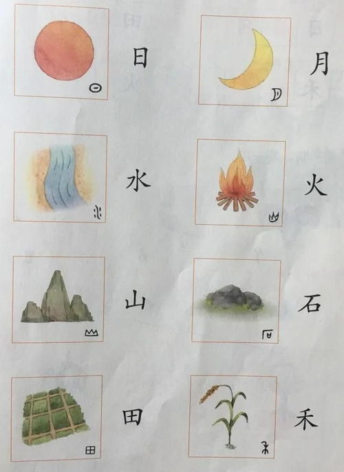 禾组词一年级