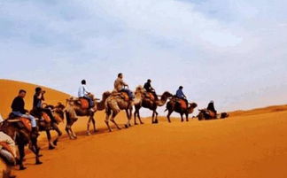 世界最值钱的沙漠就在中国,日本却想要用大米换沙子,直接被拒绝