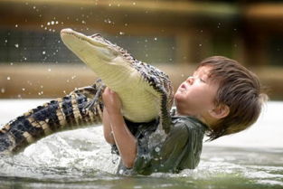 做梦梦见抱起鳄鱼是什么意思 周公解梦 