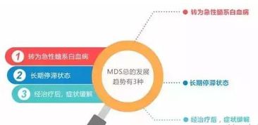 急性髓白血病MDS转化是什么意思