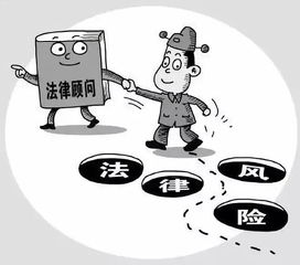 打造区委区政府法律 智囊团