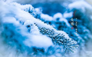 今年大寒几点几分,小寒几点几分具体时间 2022小寒文案朋友圈祝福语问候句子