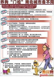 北京市养犬管理规定的第二十五条 