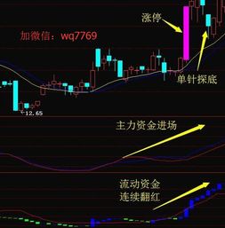 炒股中线和短线哪个盈利多啊？