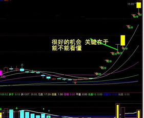 请问2008年时A股一共有多少只股票？谢谢大师解答