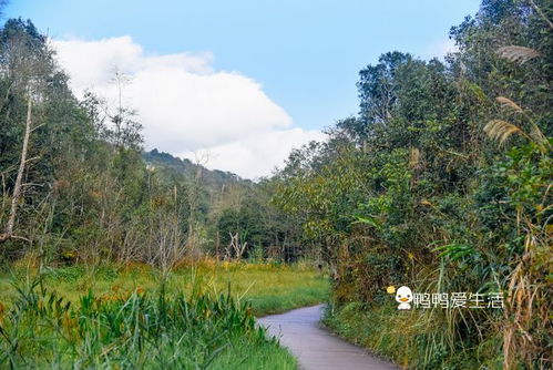 国内唯一能在野外跟动物互动的景区,藏在云南普洱,亲子游好去处