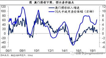 买码资料 