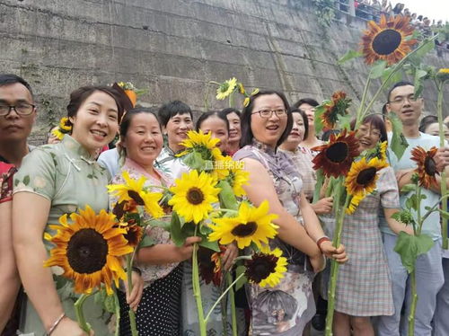 旗开得胜 一举夺魁 今年的向日葵饱含祝福更饱含心血