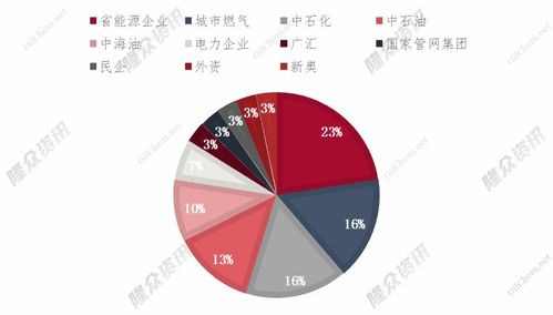 阿坝州锂矿“争夺战”揭晓，几家知名企业参与竞拍