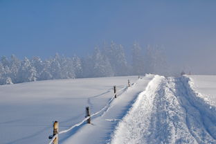 冬日雪景，下雪天的作文400字