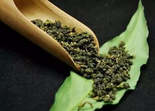 都说春茶好铁观音却偏偏不一样