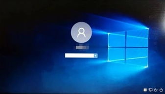 win10开机密码忘记如何开机