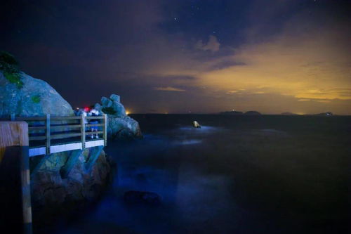 想看英仙座流星雨就来泗礁岛 绝美星空视频抢先看 ,顺便还能参与今晚开幕的东海五渔节哦