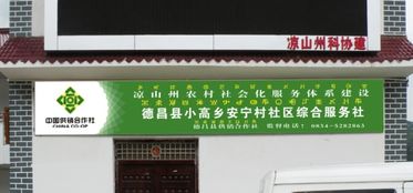 农村供销社起什么名字好 