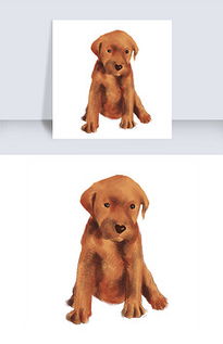 棕色的狗图片素材 棕色的狗图片素材下载 棕色的狗背景素材 棕色的狗模板下载 我图网 