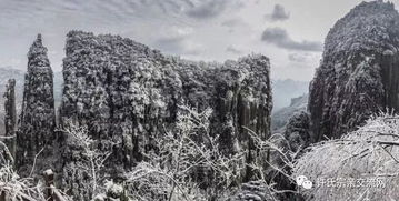 唯雪多情的句子