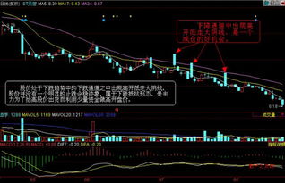 股票低位放量大涨后第二天放巨量高开低走收阴大跌，是什么情况？