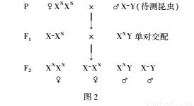 R loop结构属于一种特殊的染色质结构.它是由一条mRNA与DNA杂合链和一条单链DNA所组成.R loop可以频繁的形成并稳定的存在于基因组中.下列关于R loop结构的叙述错误的是 