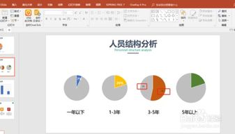 office2016版PPT中怎样完成饼图数据标签设置 