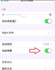 苹果6拿出来自动亮怎么设置 