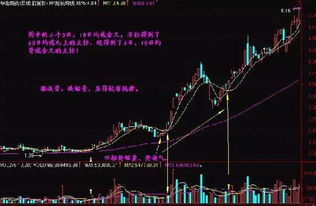 股价10日平均线的计算方法