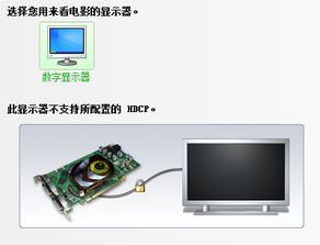 win10hidi显示器