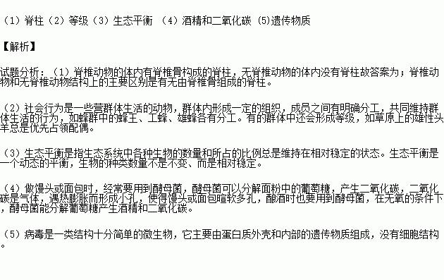 什么知识填空